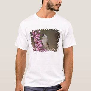 Camiseta Carbonero Crestinegro, Baeolophus