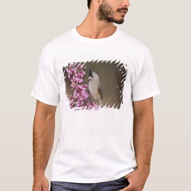 Camiseta Carbonero Crestinegro, Baeolophus (Anverso)