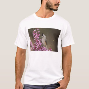 Camiseta Carbonero Crestinegro, Baeolophus