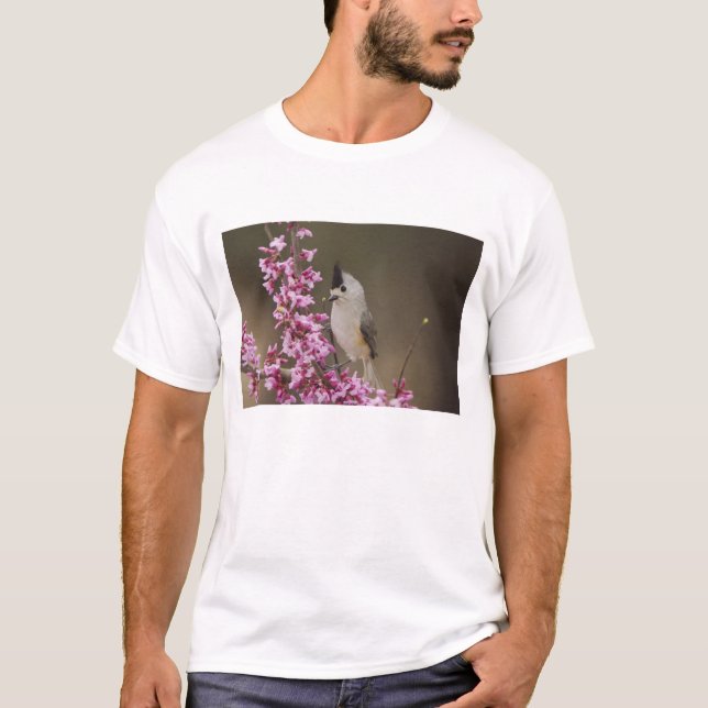 Camiseta Carbonero Crestinegro, Baeolophus (Anverso)
