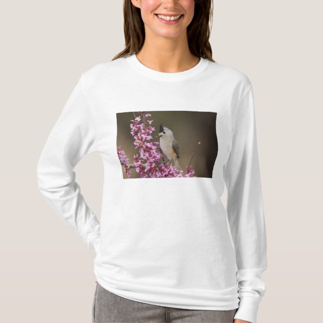 Camiseta Carbonero Crestinegro, Baeolophus (Anverso)