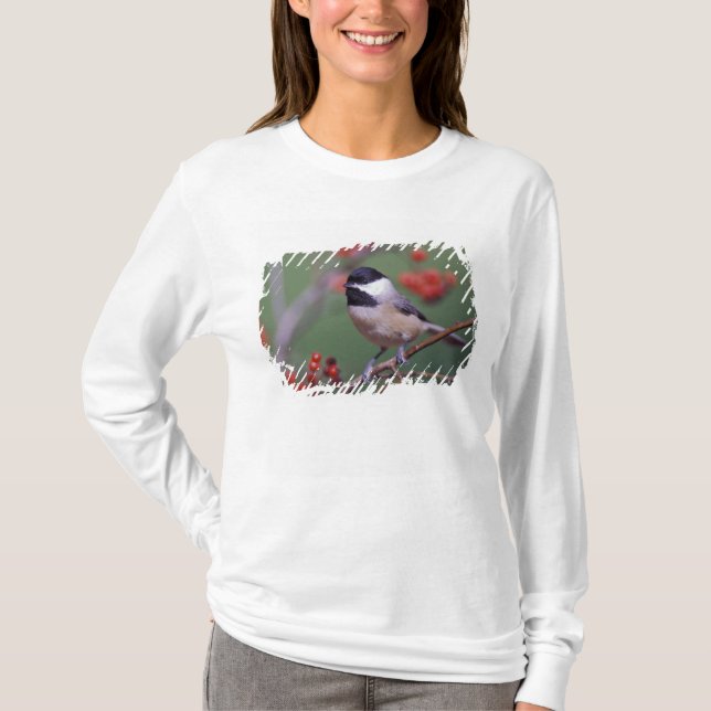 Camiseta Carbonero de Carolina (Anverso)