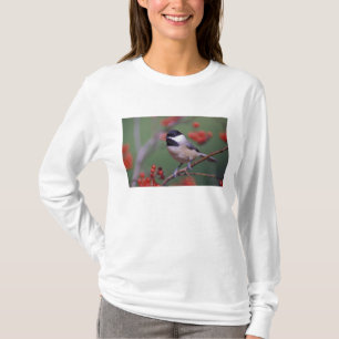 Camiseta Carbonero de Carolina