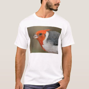 Camiseta Cardenal con cresta rojo