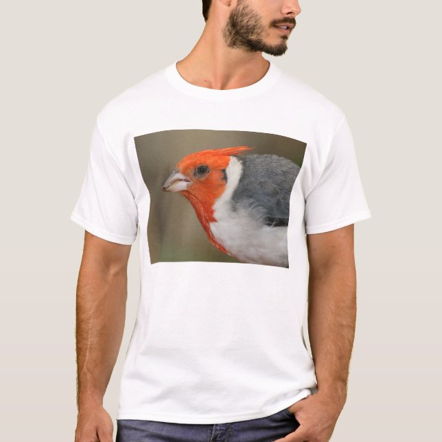 Camiseta Cardenal con cresta rojo (Anverso)