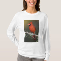 Cardenal norteño, Cardinalis cardinalis, macho
