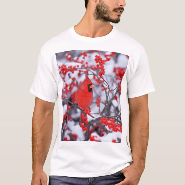 Camiseta Cardenal norteño macho, Invierno, IL (Anverso)