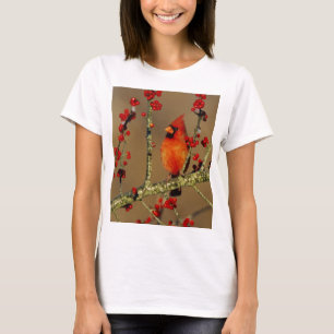 Camiseta Cardenal norteño macho posado, IL