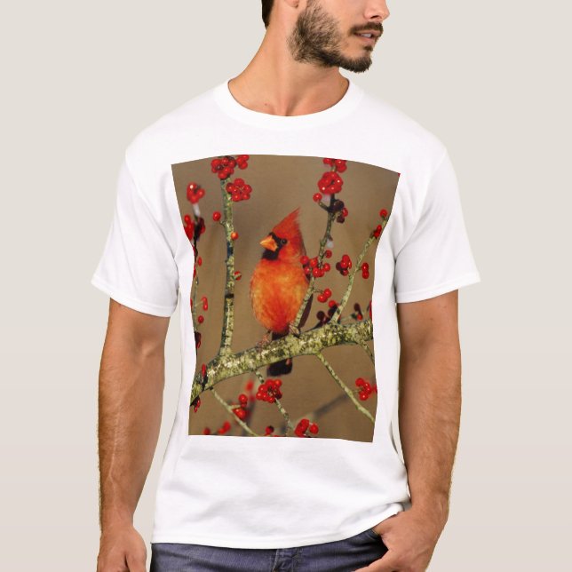 Camiseta Cardenal norteño macho posado, IL (Anverso)