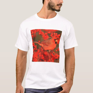 Camiseta Cardenal rojo del norte macho, IL