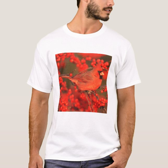Camiseta Cardenal rojo del norte macho, IL (Anverso)