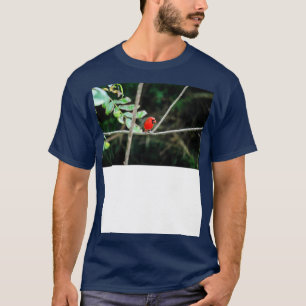 Camiseta cardenal rojo del norte TShirt
