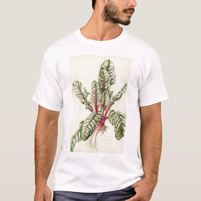 Camiseta Cardo 1992 del ruibarbo (Anverso)