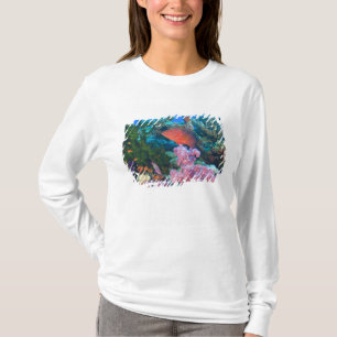 Camiseta cardumen de Anthias escamosos (Pseudanthias