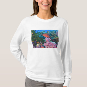 Camiseta cardumen de Anthias hadas (Pseudanthias