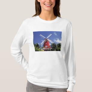 Camiseta Caribe, Aruba. Molino antiguo, convertido en 'Moli
