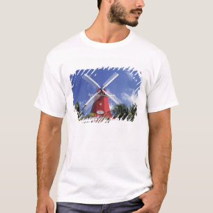 Camiseta Caribe, Aruba. Molino antiguo, convertido en 'Moli