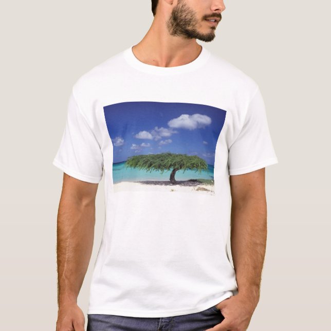 Camiseta Caribe, Aruba. Playa de Eagle (Anverso)