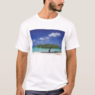 Camiseta Caribe, Aruba. Playa Eagle