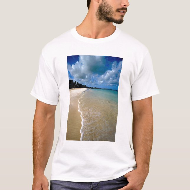 Camiseta Caribe, Islas de Sotavento, Antigua, Dickenson (Anverso)