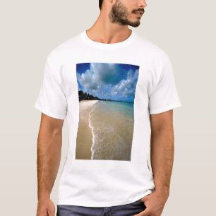 Camiseta Caribe, Islas Leeward, Antigua, Dickenson