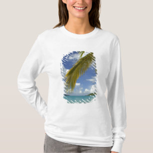 Camiseta Caribe, Islas Vírgenes de los Estados Unidos, San