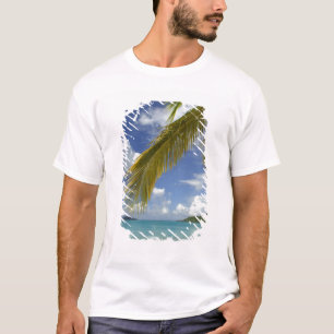 Camiseta Caribe, Islas Vírgenes de los Estados Unidos, Sant