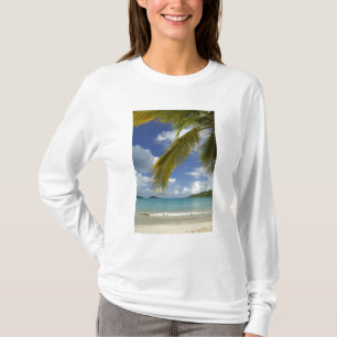 Camiseta Caribe, Islas Vírgenes de los Estados Unidos, Sant