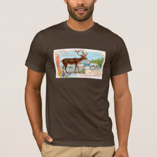 Camiseta Caribú vintage (reno) y Fox Ártica