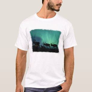 Camiseta Caribú y aurora boreal
