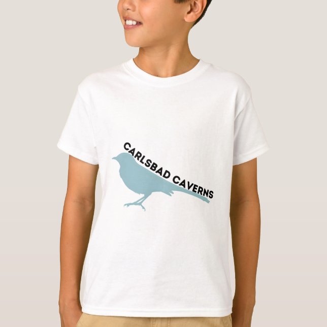 Camiseta Carlsbad Caverns mockingbird park logo (Anverso)