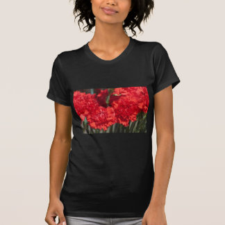 Camiseta Carnaciones rojas