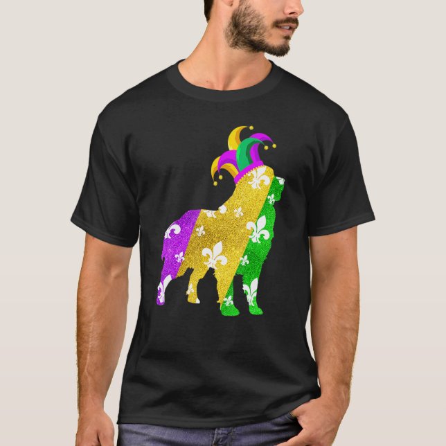 Camiseta Carnavales del perro de montaña mardi Gras de Bern (Anverso)