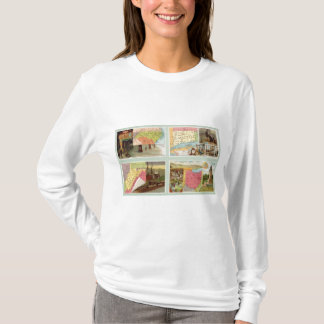 Camiseta Carolina del Norte, Connecticut, Virginia