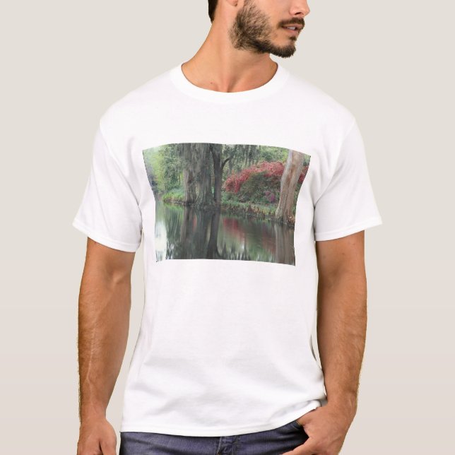 Camiseta Carolina del Sur, Charleston (Anverso)