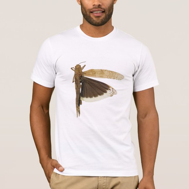 Camiseta Carolina Grasshopper (Anverso)
