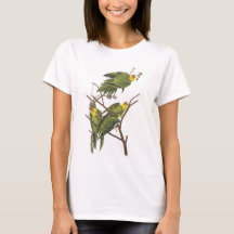Carolina Parakeet de Audubon