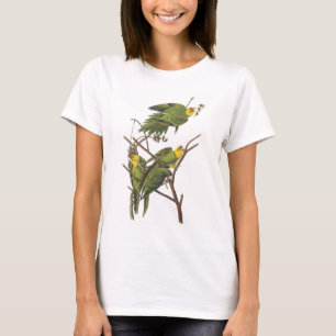 Camiseta Carolina Parakeet de Audubon