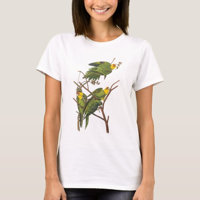 Camiseta Carolina Parakeet de Audubon (Anverso)