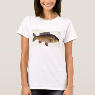 Camiseta Carp (Cyprinus Carpio) plate XVI from 'Ichthyologi
