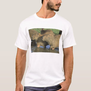 Camiseta Carpincho, Hydrochaeris hydrochaeris), del mundo