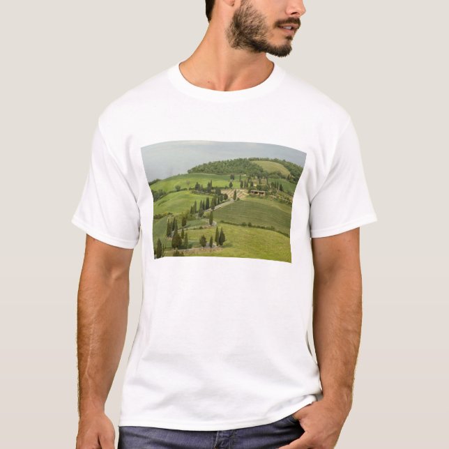 Camiseta Carretera de Pienza a Montepulciano, (Anverso)