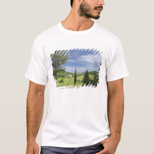 Camiseta Carretera rural que se curva entre cipreses en