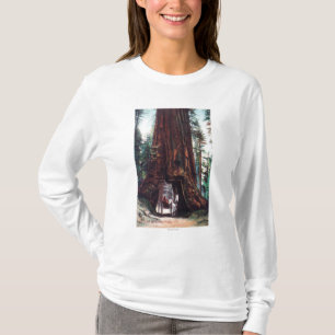 Camiseta Carro que viaja debajo de una secoya gigante