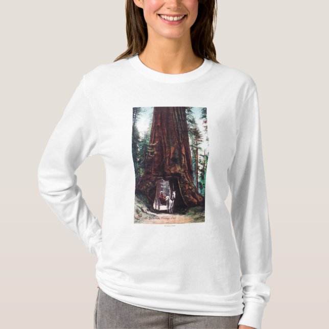 Camiseta Carro que viaja debajo de una secoya gigante (Anverso)