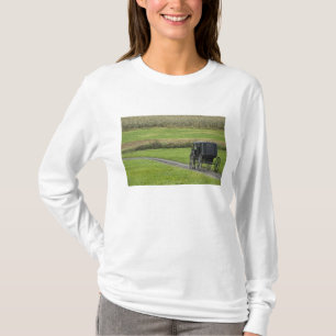 Camiseta Carruaje Amish en camino de granja, Ohio Nororient