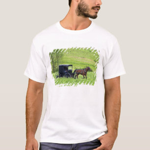 Camiseta Carruaje y caballo Amish cerca de Berlín, Ohio.
