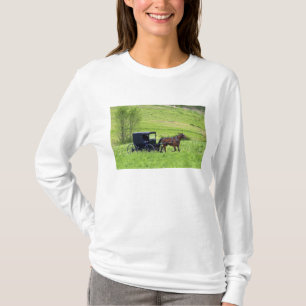 Camiseta Carruaje y caballo Amish cerca de Berlín, Ohio.