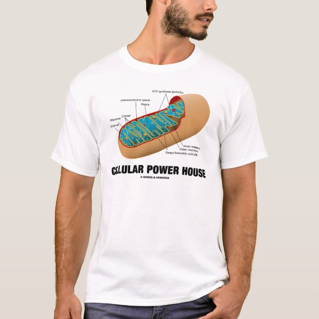 Camiseta Casa celular del poder (Mitochondrion) (Anverso)