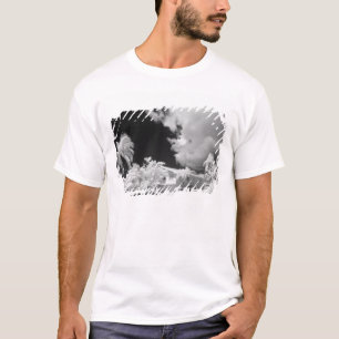 Camiseta Casa de Florida Keys y sus palmeras, EE. UU.